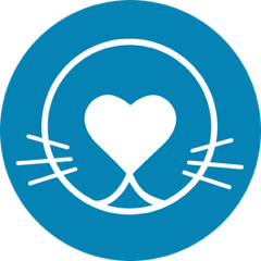 Socialpaws