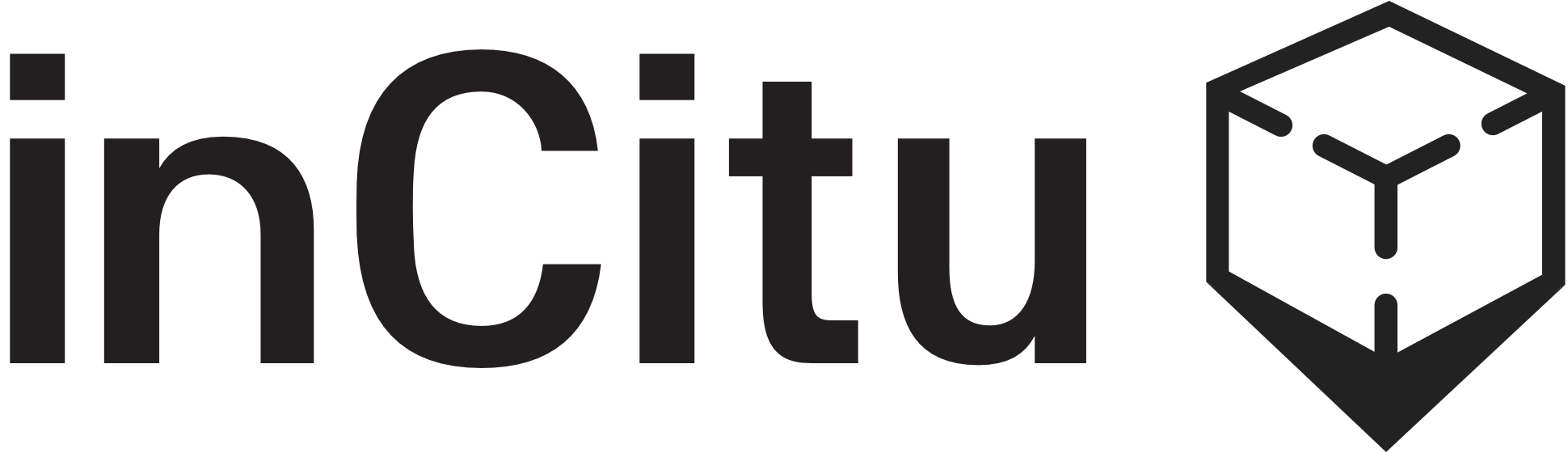 Incitu