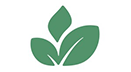 Buyverde
